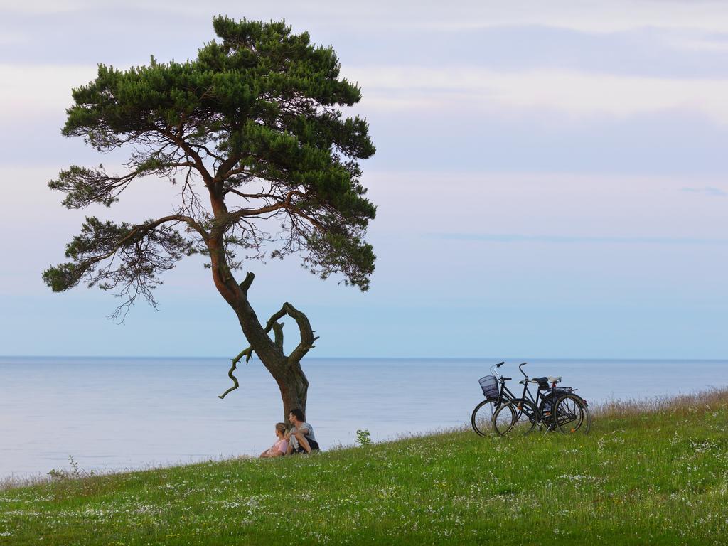 Kuskahusen Vandrarhem Andrarum-Brosarp Extérieur photo